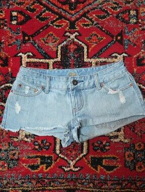 American Eagle Outfitters Light Blue Distressed Denim Shorts